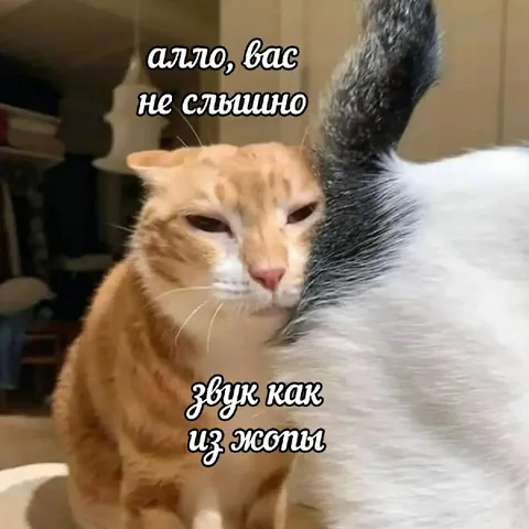 Алло, вас не слышно