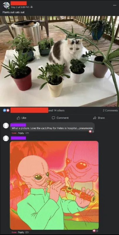 Plants Out, Cats Out