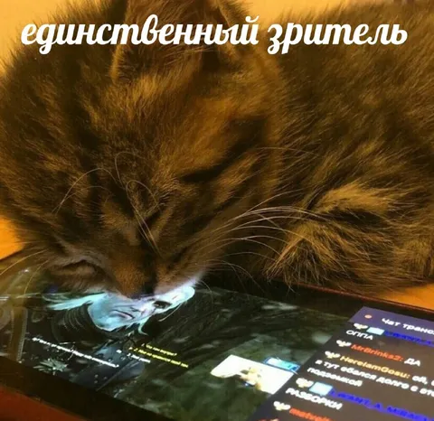 Единственный зритель стрима
