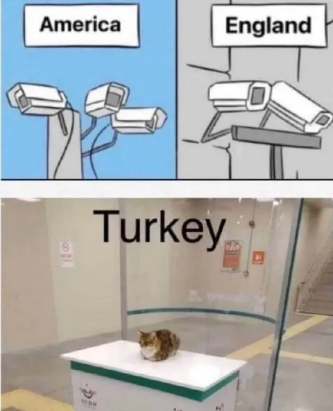 Turkey Has a Cat on Security