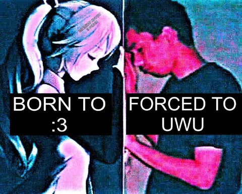 Born to :3 Forced to UwU