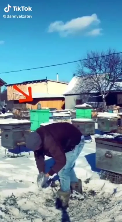 Got Him With the Bees