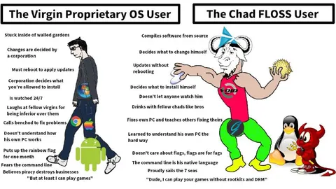 Virgin Proprietary OS User vs Chad FLOSS User