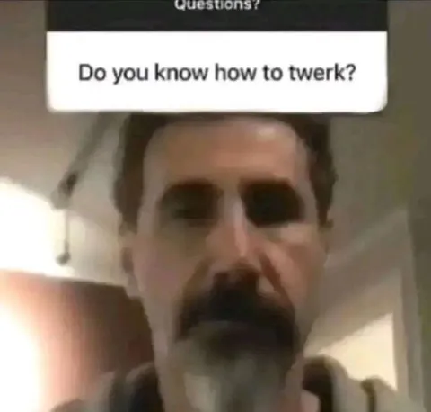 Do You Know How to Twerk?