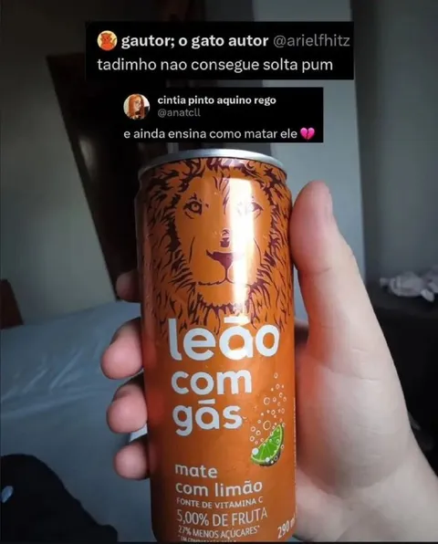 Leão com gás e gato