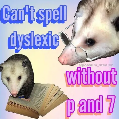 Can't Spell Dyslexic Without P and 7