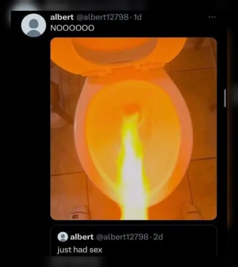 Just Had Sex Toilet Fire