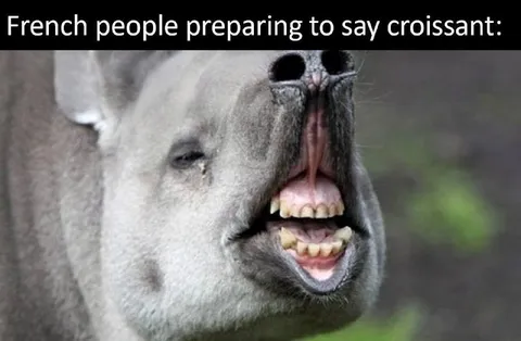French People Saying Croissant