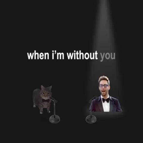 Cat Sings Sugar at a Mic