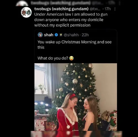 Christmas Morning Home Intruder