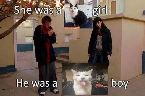 She Was a Girl, He Was a Boy