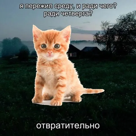 Пережил среду ради четверга