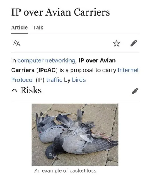 IP Over Avian Carriers Packet Loss