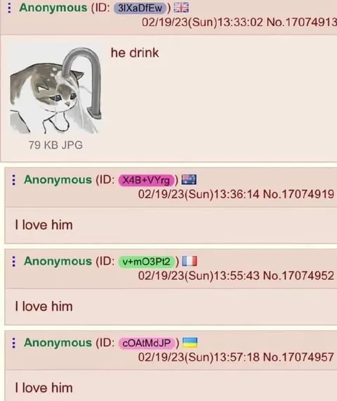 He Drink Cat Reaction