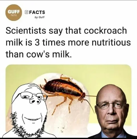Cockroach Milk Is More Nutritious
