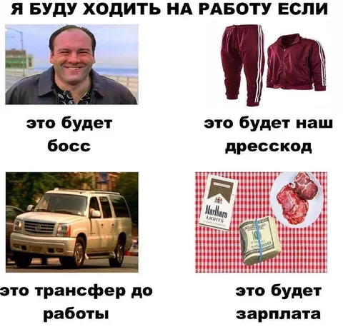 Идеальные условия для работы