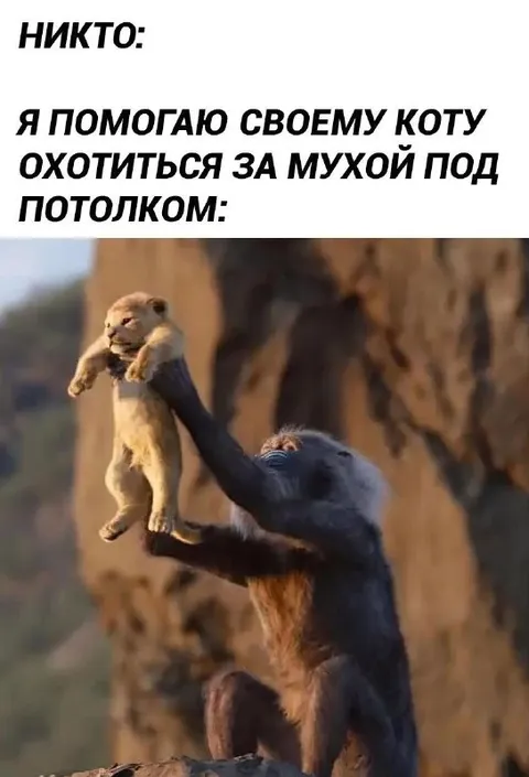 Помогаю коту охотиться на муху