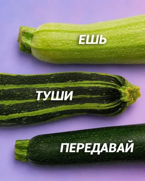 Ешь, туши, передавай