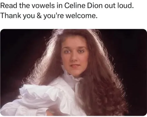 Celine Dion Vowels Joke