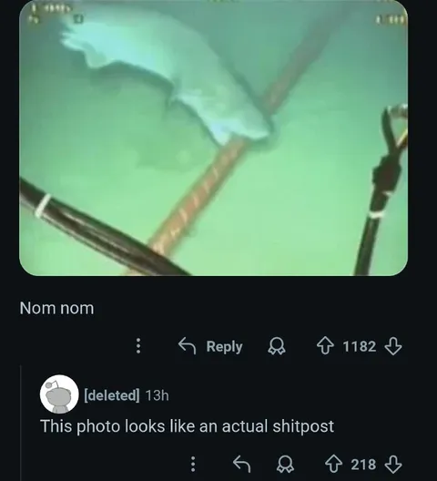 Nom nom shipost screenshot