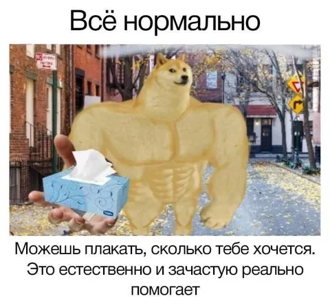 Сильный Доге утешает плачущего