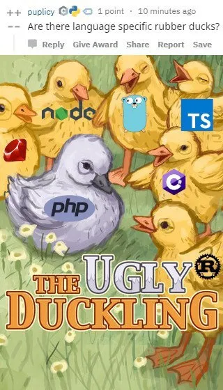 The Ugly Programming Duckling