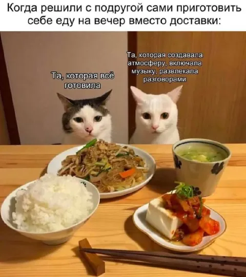 Подруги приготовили ужин сами
