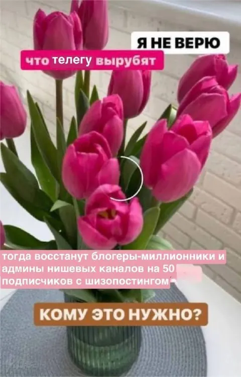 Цветы против отключения Телеграма
