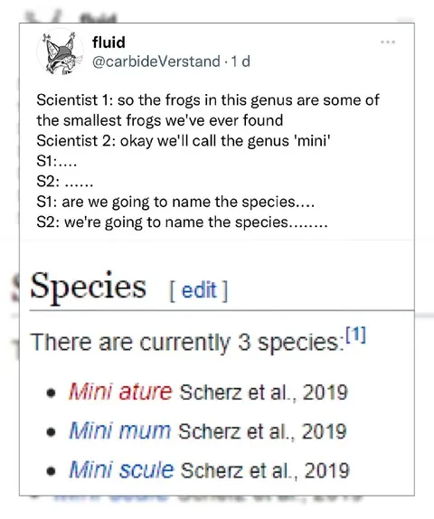 Naming the Mini Frog Species