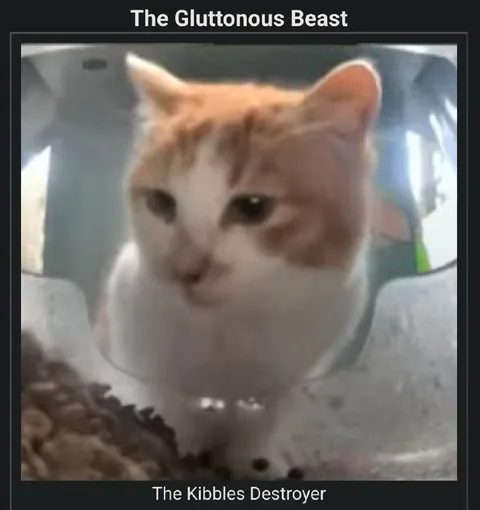 The Gluttonous Beast Cat