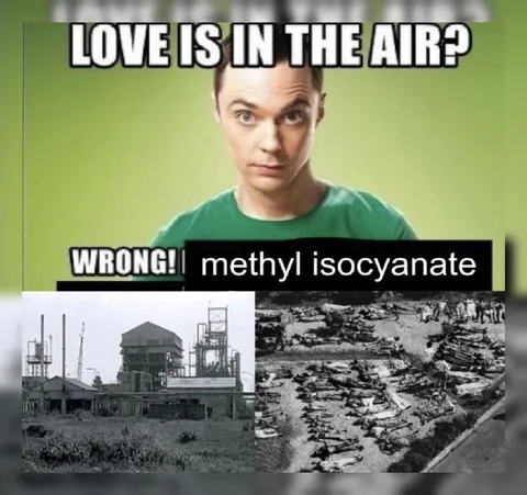 Love Is in the Air? Wrong!