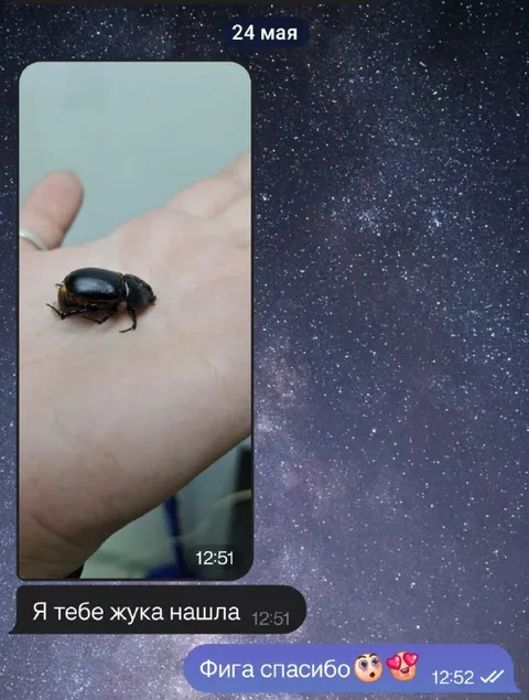 Я тебе жука нашла