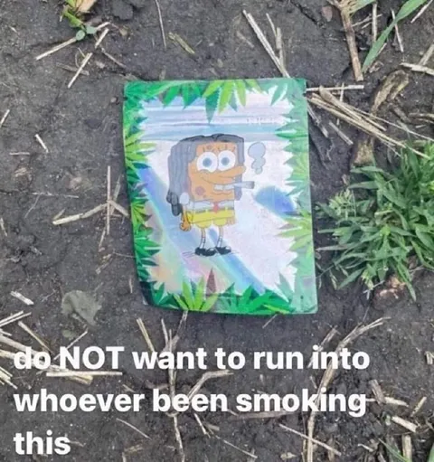 Whoever Has Been Smoking This