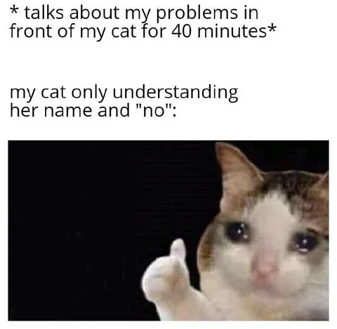 Talking to My Cat About Problems
