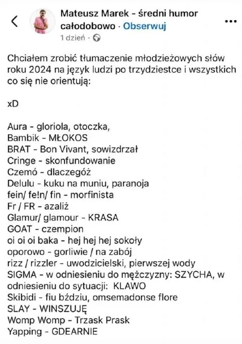 Tłumaczenie młodzieżowych słów 2024