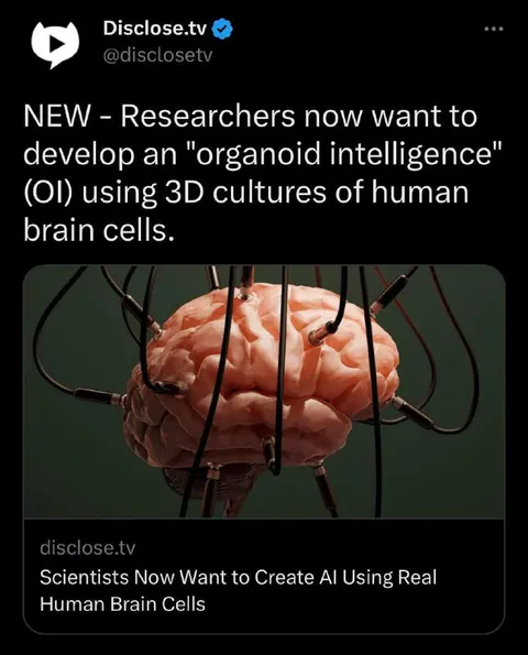 Organoid Intelligence Brain Meme