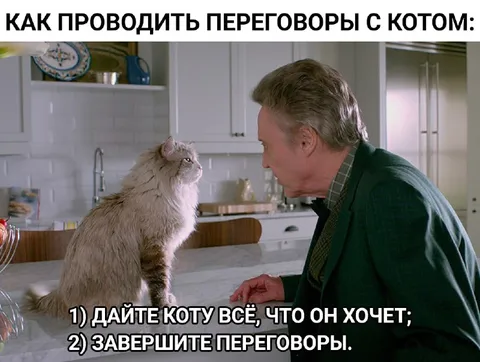 Переговоры с котом