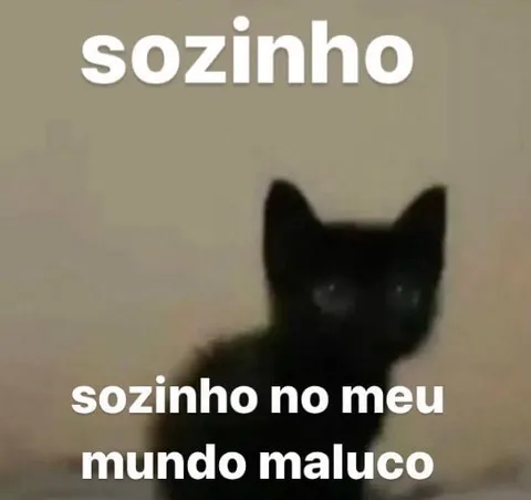 Sozinho no meu mundo maluco