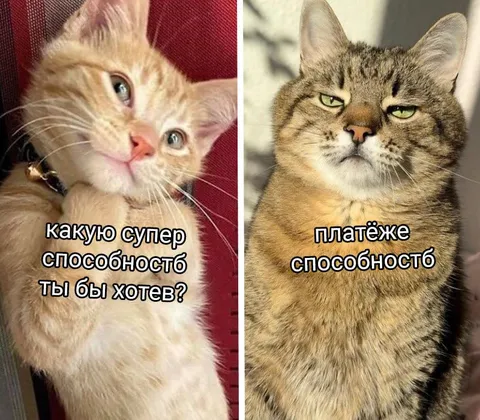 Суперспособность для платежей