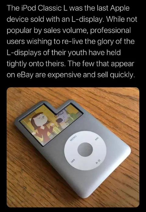 iPod Classic L-Display