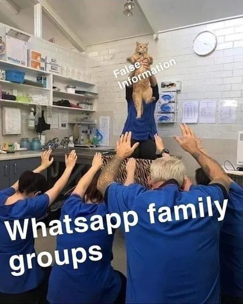 WhatsApp Family Group Misinformation