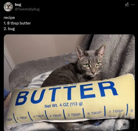 Butter Recipe With a Bug
