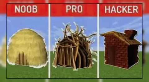 Noob Pro Hacker Shelter