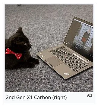 Cat Inspecting a ThinkPad