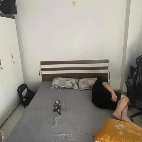 Крошечный кот на кровати
