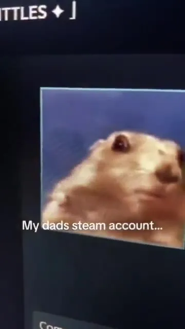 My Dad's Steam Account