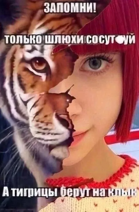 Тигрицы берут на клык