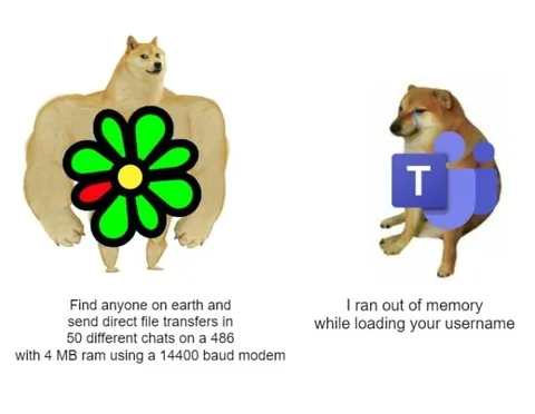 Doge Runs Out of Memory