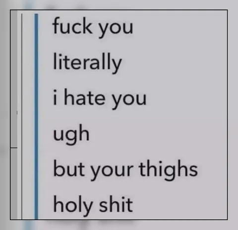 I Hate You but Your Thighs