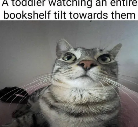 Toddler Watches Bookshelf Tilt